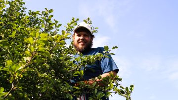 Apfelernte: Unser erster Apfelsaft!